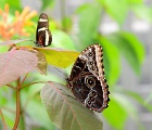 D8C 5482 (2)d